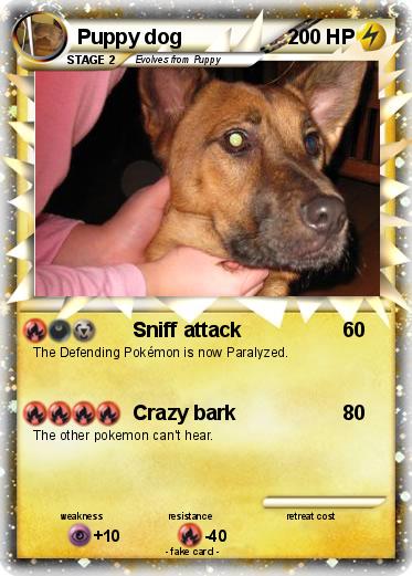 Pokemon Puppy dog