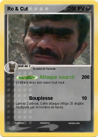 Pokemon Ro & Cut