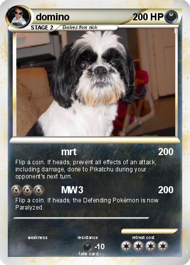 Pokemon domino