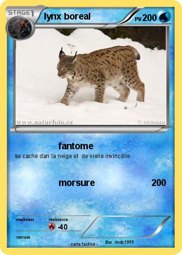 Pokemon lynx boreal