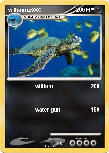 Pokemon william