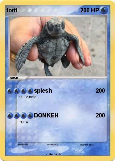 Pokemon tortl