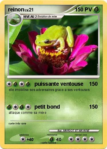 Pokemon reinon