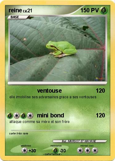 Pokemon reine