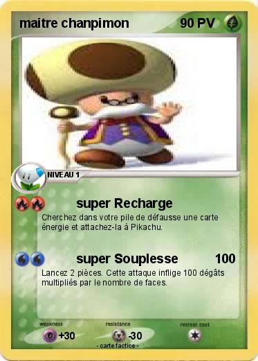 Pokemon maitre chanpimon