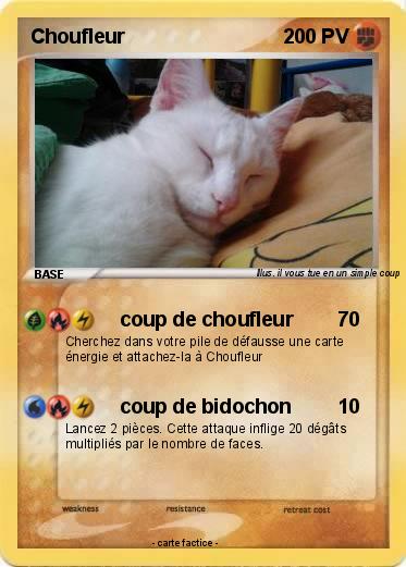 Pokemon Choufleur