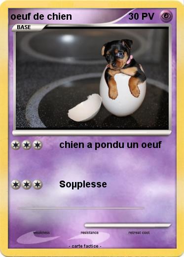 Pokemon oeuf de chien