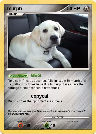 Pokemon murph
