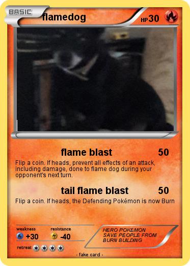 Pokemon flamedog