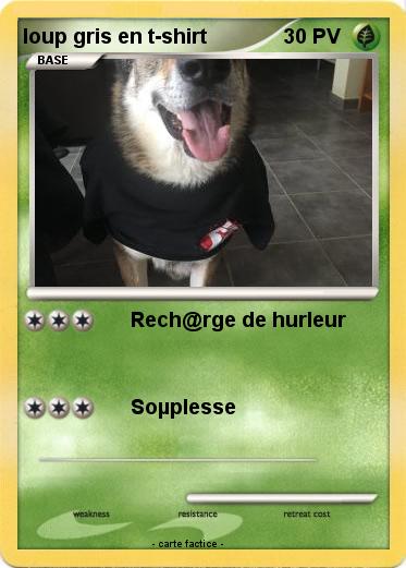 Pokemon loup gris en t-shirt