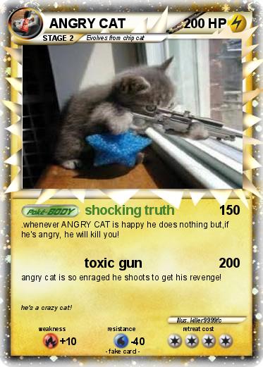 Pokemon ANGRY CAT