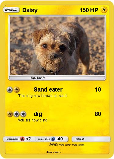 Pokemon Daisy