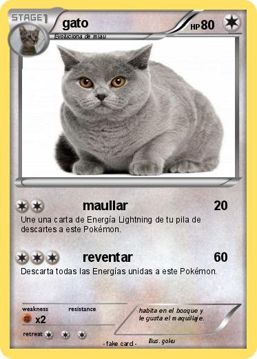 Pokemon gato