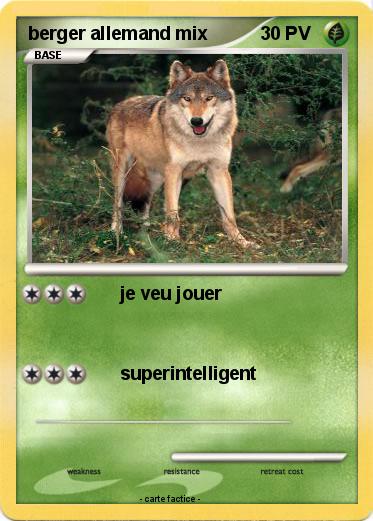 Pokemon berger allemand mix