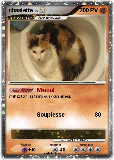 Pokemon chasiette