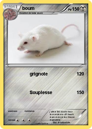 Pokemon boum