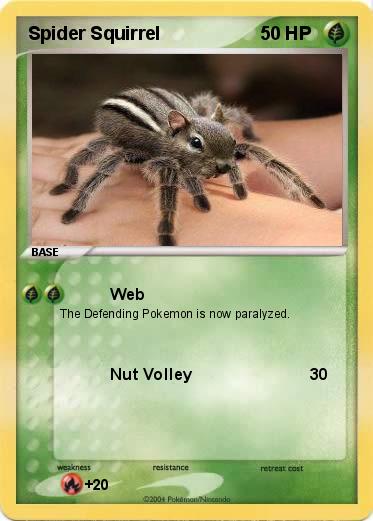 Pokemon Spider Squirrel