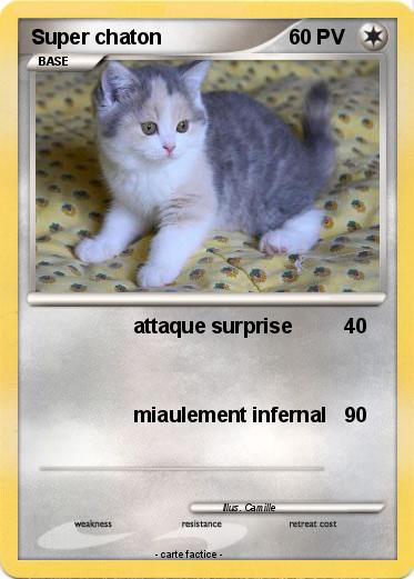Pokemon Super chaton