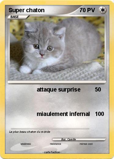 Pokemon Super chaton