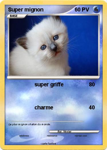 Pokemon Super mignon