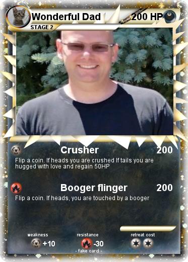 Pokemon Wonderful Dad