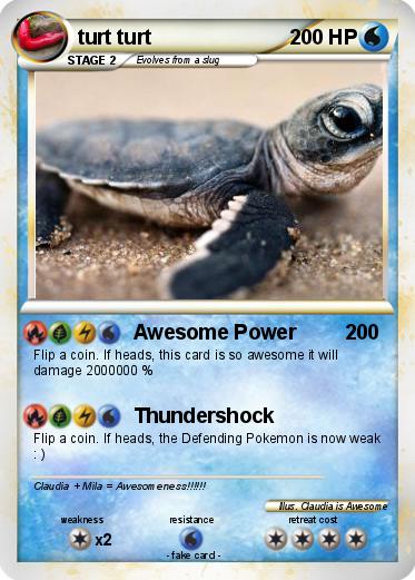 Pokemon turt turt