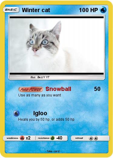 Pokemon Winter cat