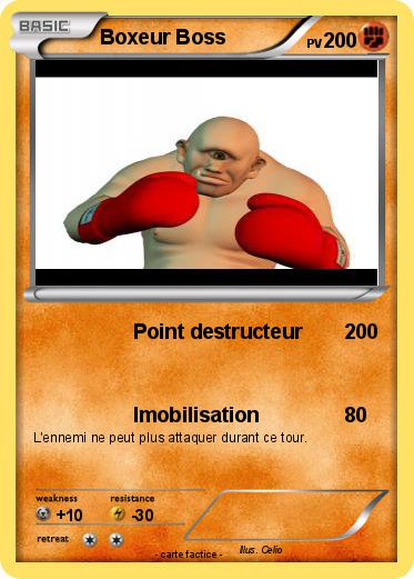 Pokemon Boxeur Boss