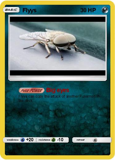 Pokemon Flyys