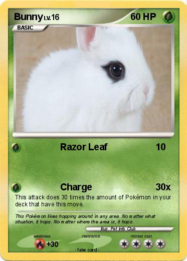 Pokemon Bunny
