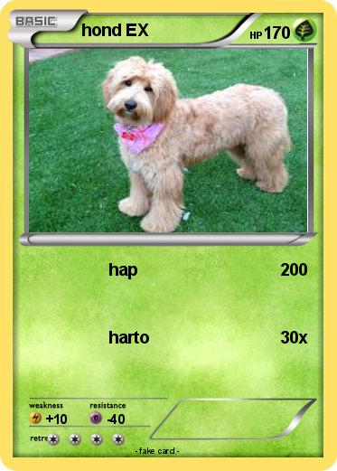 Pokemon hond EX