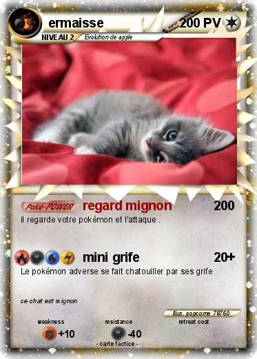 Pokemon ermaisse