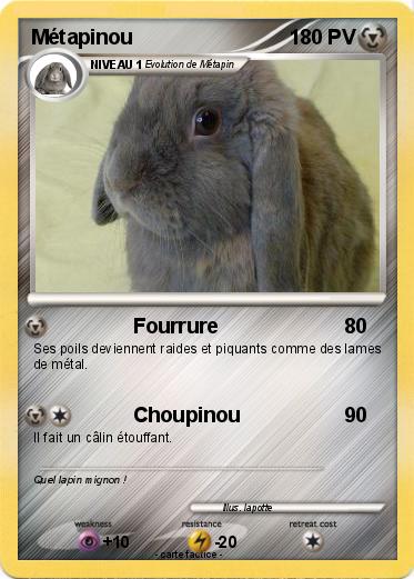 Pokemon Métapinou