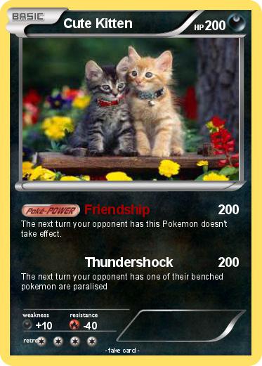 Pokemon Cute Kitten