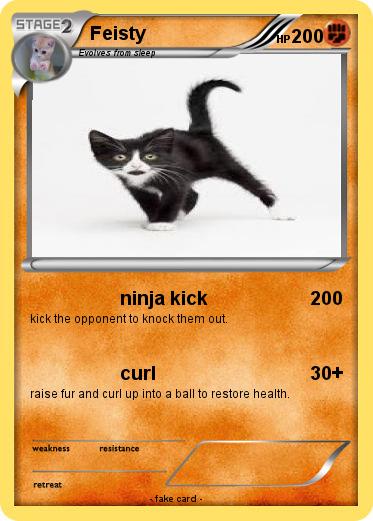 Pokemon Feisty