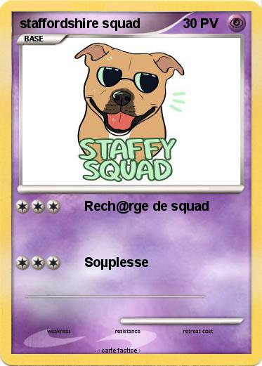 Pokemon staffordshire squad