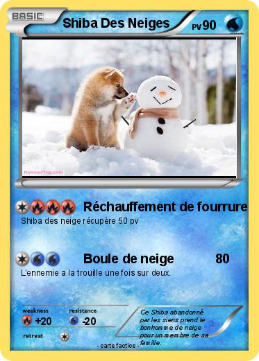 Pokemon Shiba Des Neiges
