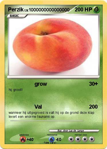 Pokemon Perzik
