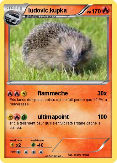 Pokemon ludovic.kupka