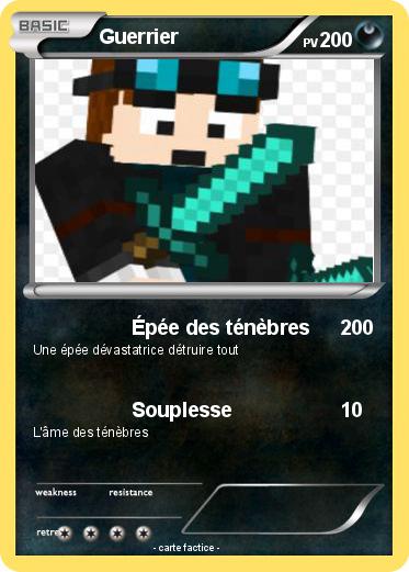 Pokemon Guerrier