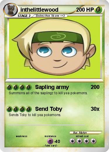 Pokemon inthelittlewood