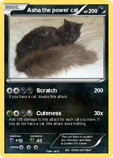 Pokemon Asha the power cat