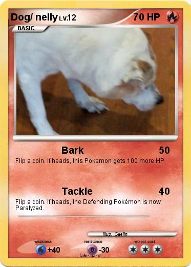 Pokemon Dog/ nelly