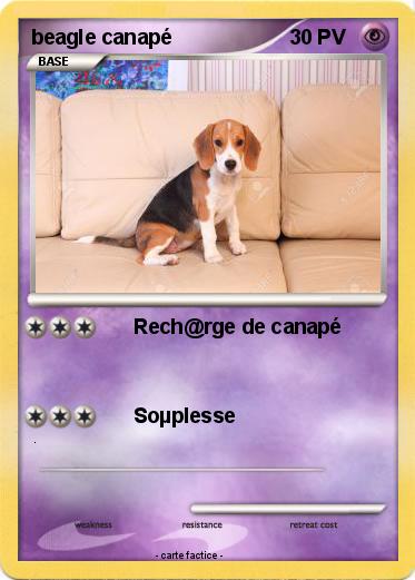 Pokemon beagle canapé