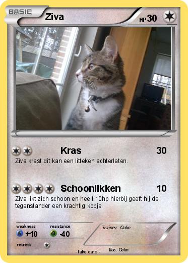 Pokemon Ziva