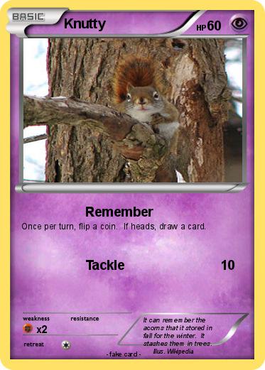 Pokemon Knutty