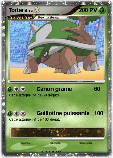 Pokemon Tortera