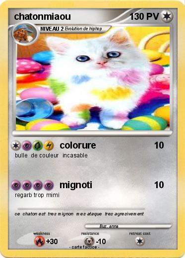 Pokemon chatonmiaou