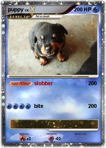Pokemon puppy