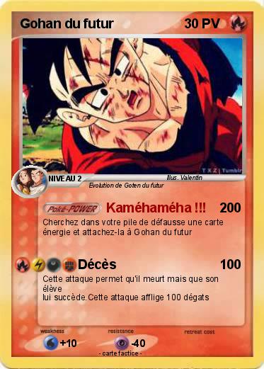 Pokemon Gohan du futur
